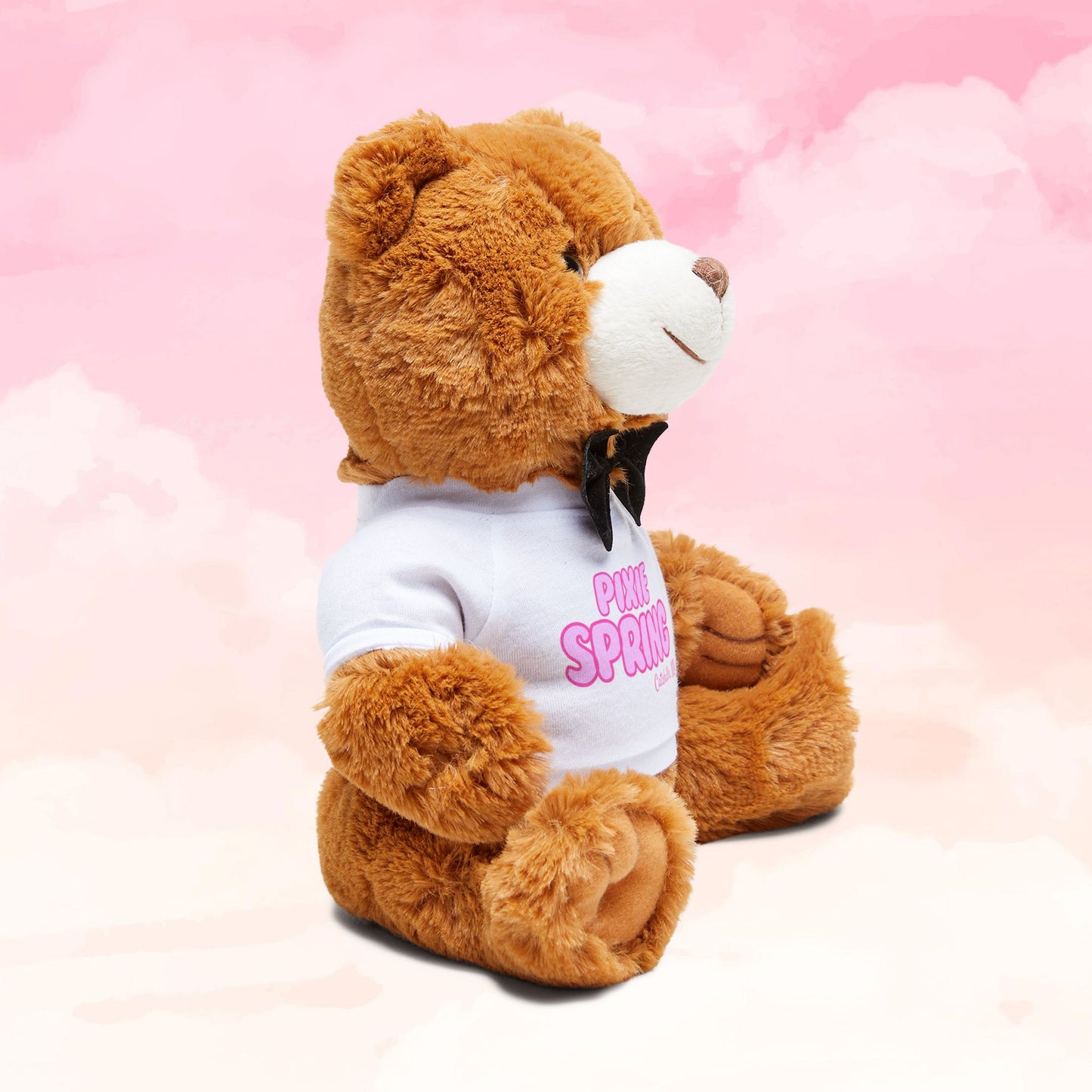 Pixie Teddy Bear