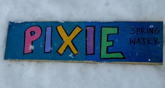 PIXIE SNOW DAY